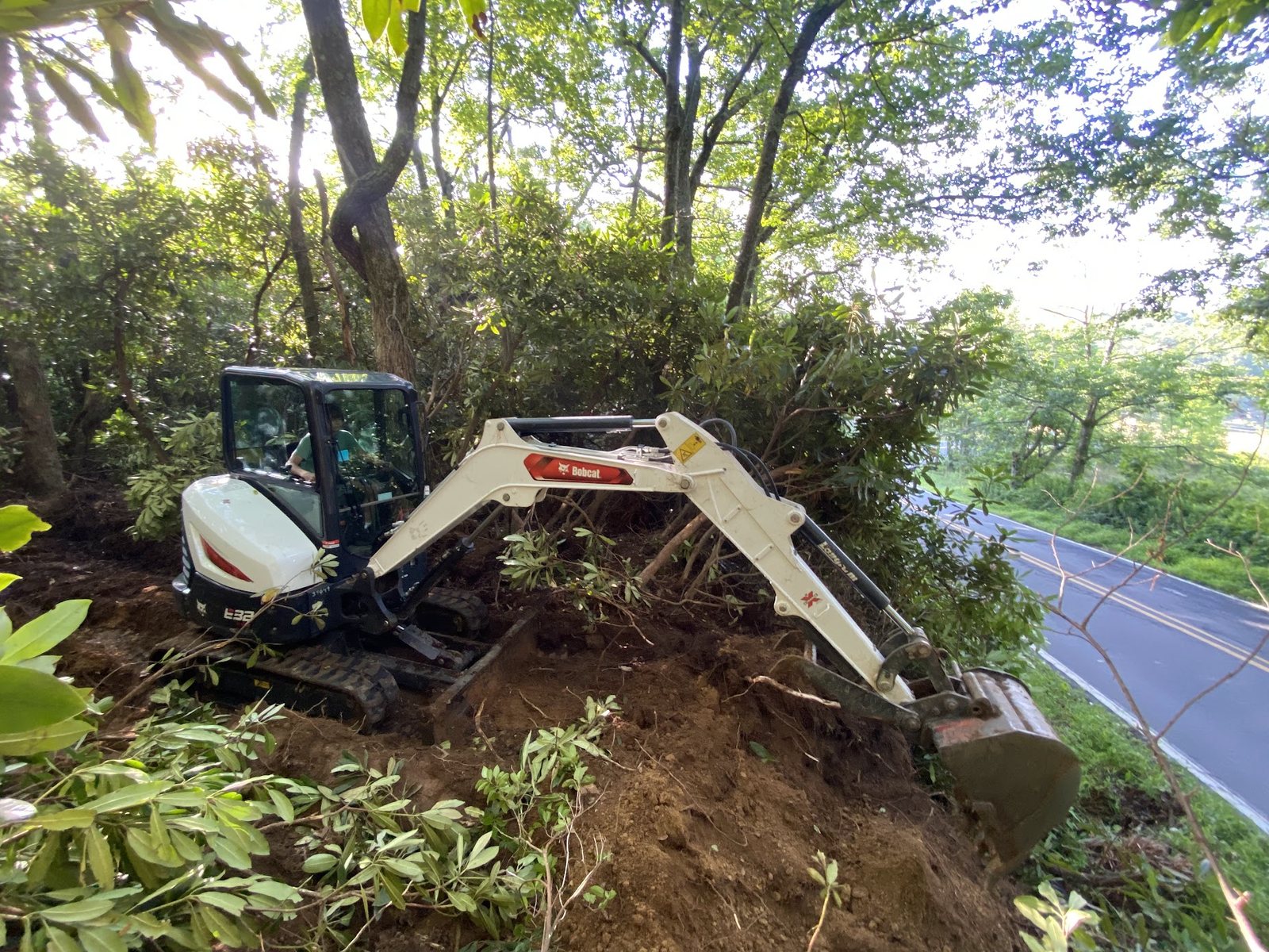 Bobcat E32 mini-excavator clearing rhododendron thicket on a steep roadside embankment, paved two-lane road visible below